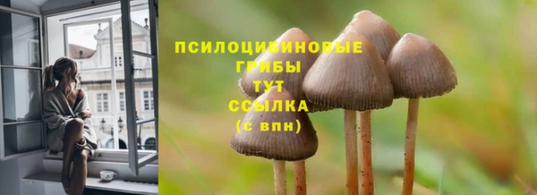 метадон Алексеевка
