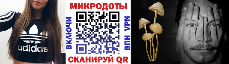 Галлюциногенные грибы мухоморы  закладки  Кольчугино 