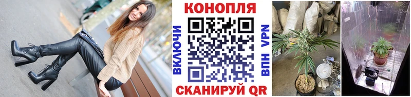 Конопля индика  KRAKEN зеркало  Кольчугино 
